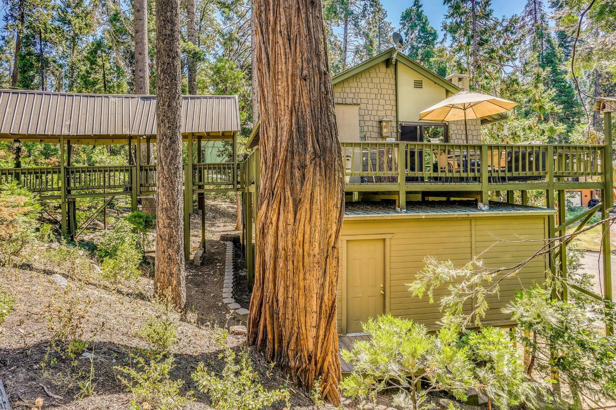 Cozy Bears Hideaway Cabin About 3 Mi To Shaver Lake! Екстериор снимка